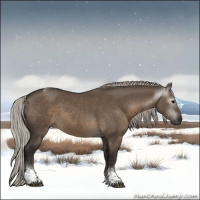 Horse Color:Gray Silver Grullo Tobiano 