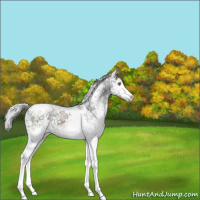 Horse Color:White Spotted Silver Black Chinchilla Ice Tobiano 