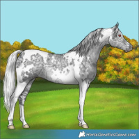 Horse Color:White Spotted Silver Black Chinchilla Ice Tobiano 