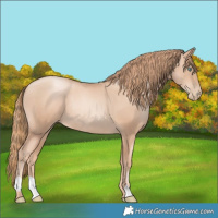 Horse Color:Gold Champagne Pearl Rabicano  and Gold Champagne Pearl Rabicano 