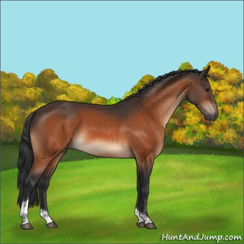 Horse Color:Brown Tobiano Rabicano 