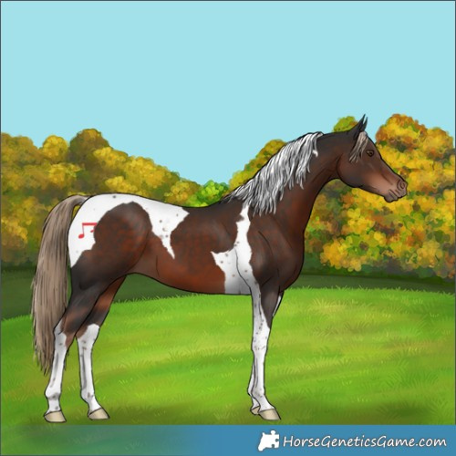 Horse Color:Liver Chestnut Tobiano 