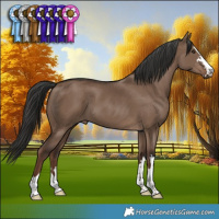 Horse Color:Liver Red Dun 