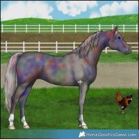 Horse Color:Nacre Silver Black 