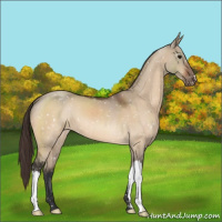 Horse Color:Bay Dun Snowflake Varnish 