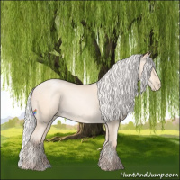 Horse Color:Silver Amber Cream Champagne Pearl
