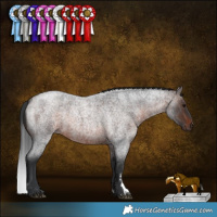 Horse Color:Brown Roan Sabino 
