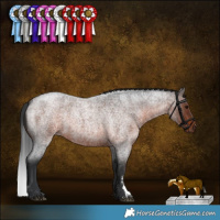 Horse Color:Brown Roan Sabino 