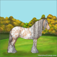 Horse Color:Amber Champagne Sabino Tobiano Near Leopard  and Silver Amber Champagne Sabino Tobiano Near Leopard 