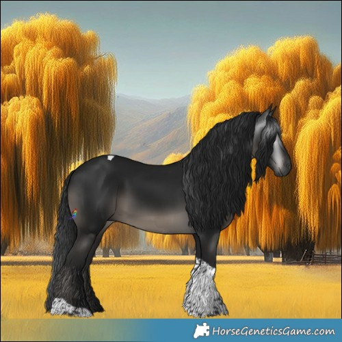 Horse Color:Gray Black Tobiano Rabicano 