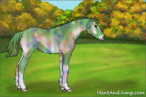 Horse Color:Nacre Watercolor Brown Onyx 