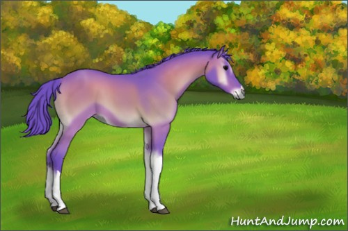 Horse Color:Watercolor Bay Onyx 