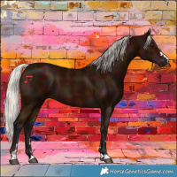 Horse Color:Midnight Silver Bay 