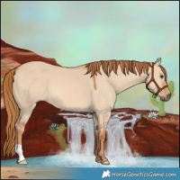 Horse Color:Red Dun 