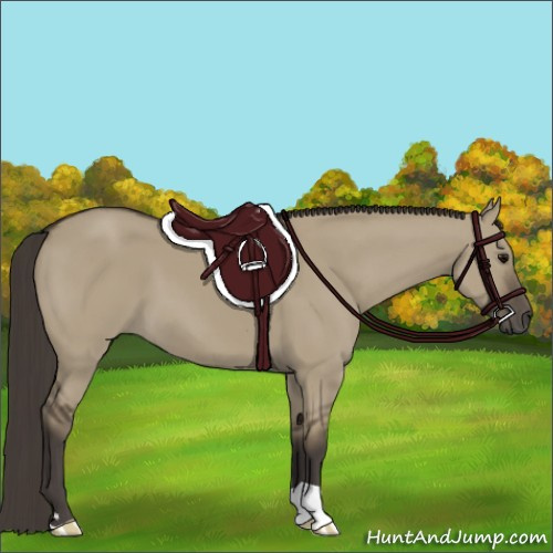 Horse Color:Smoky Grullo 