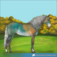 Horse Color:Silver Buckskin 
