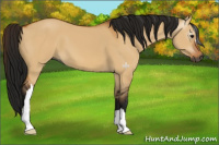 Horse Color:Gray Bay Dun 