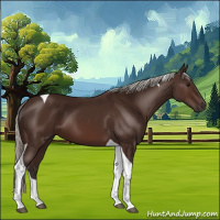 Horse Color:Silver Brown Tobiano 
