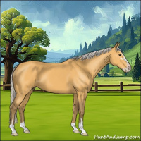 Horse Color:Silver Buckskin Sabino 