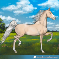 Horse Color:Silver Buckskin Pearl