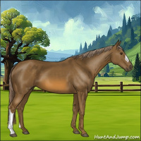 Horse Color:Chocolate Palomino 