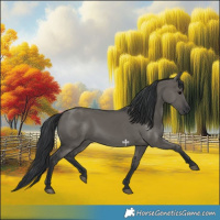 Horse Color:Grullo 