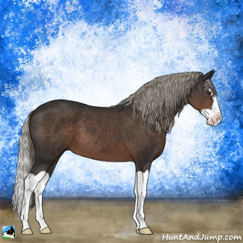 Horse Color:Liver Chestnut Mushroom Splash 