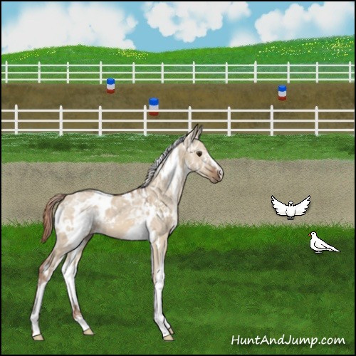 Horse Color:White Spotted Red Dun Ice 