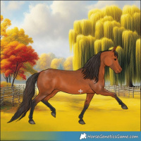 Horse Color:Bay 