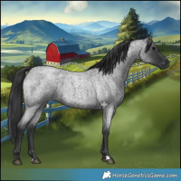 Horse Color:Blue Roan 
