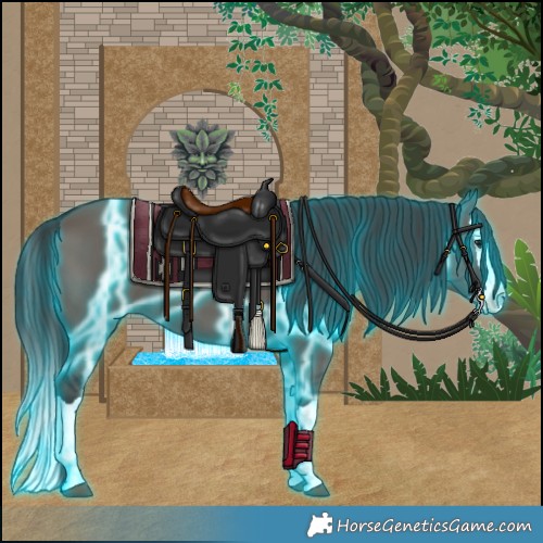 Horse Color:Thunderstruck Grullo Splash 