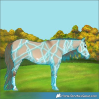 Horse Color:Thunderstruck Red Dun 