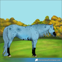 Horse Color:ERROR: UNKNOWN ANOMALY