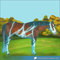 Horse Color:Thunderstruck Brown Splash 