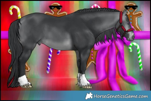 Horse Color:Brown Chinchilla 