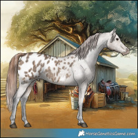 Horse Color:Bay Ice Dun Appaloosa Rabicano
