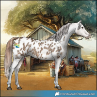 Horse Color:Bay Ice Dun Appaloosa Rabicano 