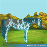 Horse Color:Thunderstruck Grullo 