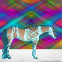 Horse Color:Thunderstruck Bay Dun 