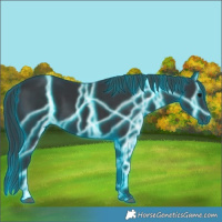 Horse Color:Thunderstruck Black 