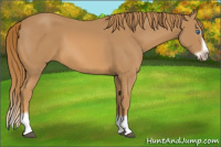 Horse Color:Chestnut Splash Frame 