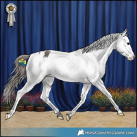 Horse Color:Grullo Varnish Brindle 