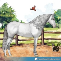 Horse Color:Grullo Varnish Brindle 