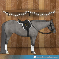 Horse Color:Grullo Varnish Brindle 