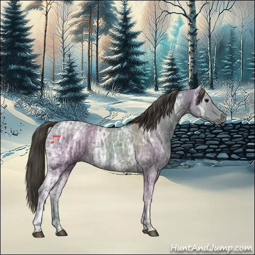 Horse Color:Smoky Black Ice 