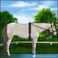 Horse Color:Classic Cream Champagne Ice 