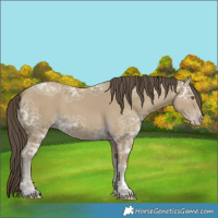 Horse Color:Classic Cream Champagne Ice 