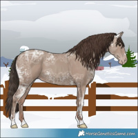 Horse Color:Classic Champagne Ice 