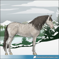 Horse Color:Classic Cream Champagne Ice