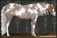 Horse Color:White Spotted Silver Blue Roan Splash 